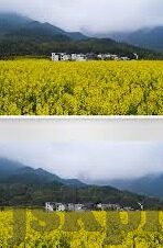 成人无码免费一区二区三区-成人无码内容区域解析与网络伦理探讨