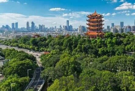 麻豆传媒app在线观看-严厉警示，非法内容不可取，健康网络应自觉抵