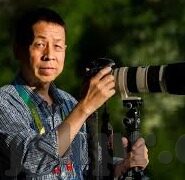 麻豆传媒免费网站入口-慎入！网络陷阱识别与免俗指南——揭开麻豆传媒免费网站入口的真面目