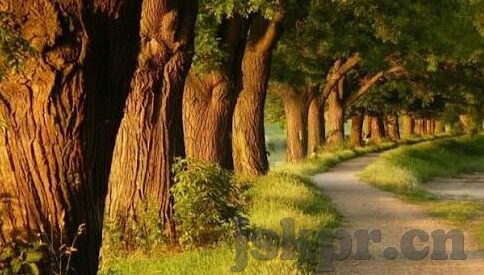 人妻少妇99-探寻人妻少妇的多元面貌，99种不同的生活轨迹