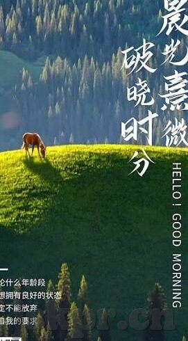 日韩萝莉av-日韩萝莉文化，一种独特的审美现象
